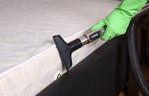 Deep Cleaning in Harborne