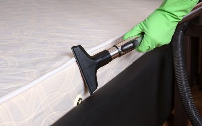 10 Top Tips for Efficient Domestic Cleaning and Maintenance