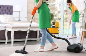 Domestic Cleaners