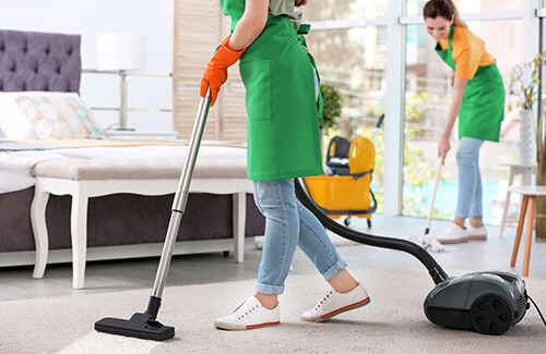 Domestic Cleaners